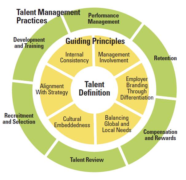 Performance Management and Talent Development